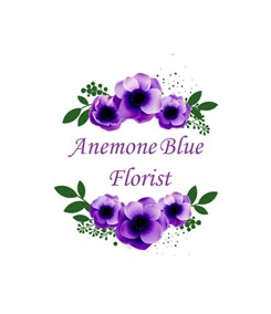 Amemone Blue Florist